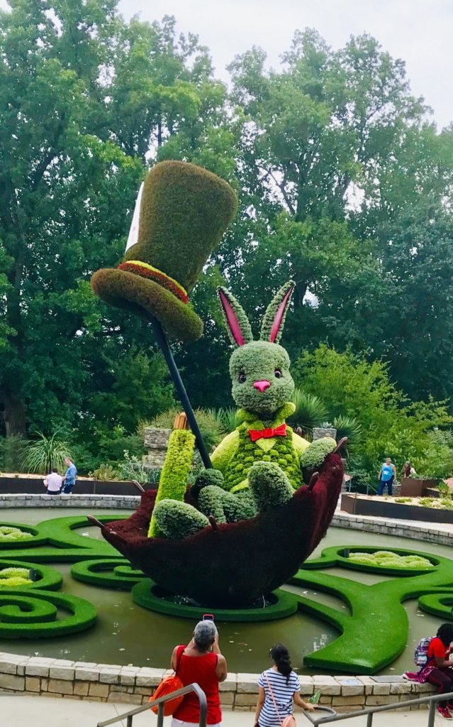 Grigör Suvari 🫀 tweet media