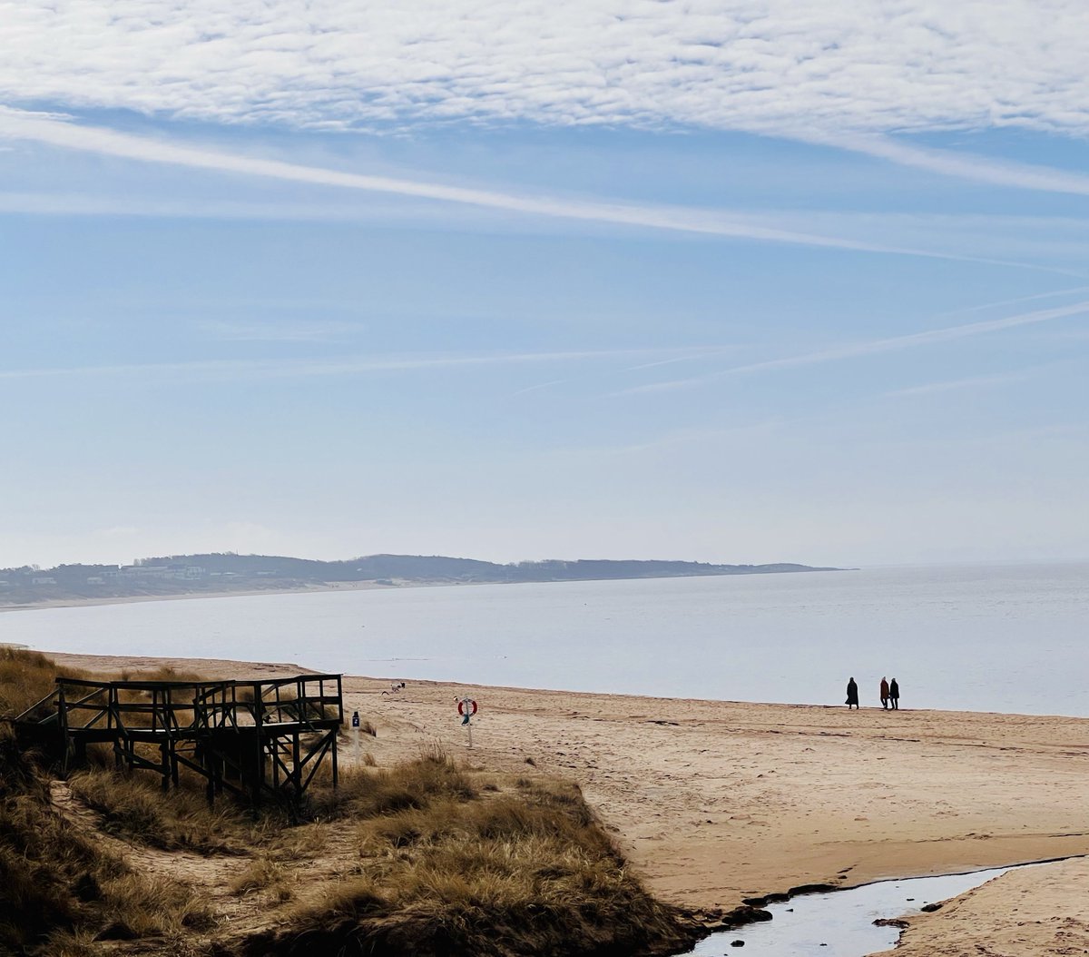 Elinsdotter 🇸🇪🇺🇦🇨🇦🇬🇱🇪🇺 tweet media