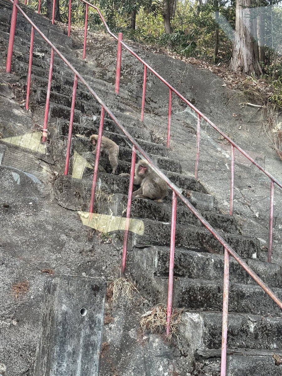 エージェントo tweet media