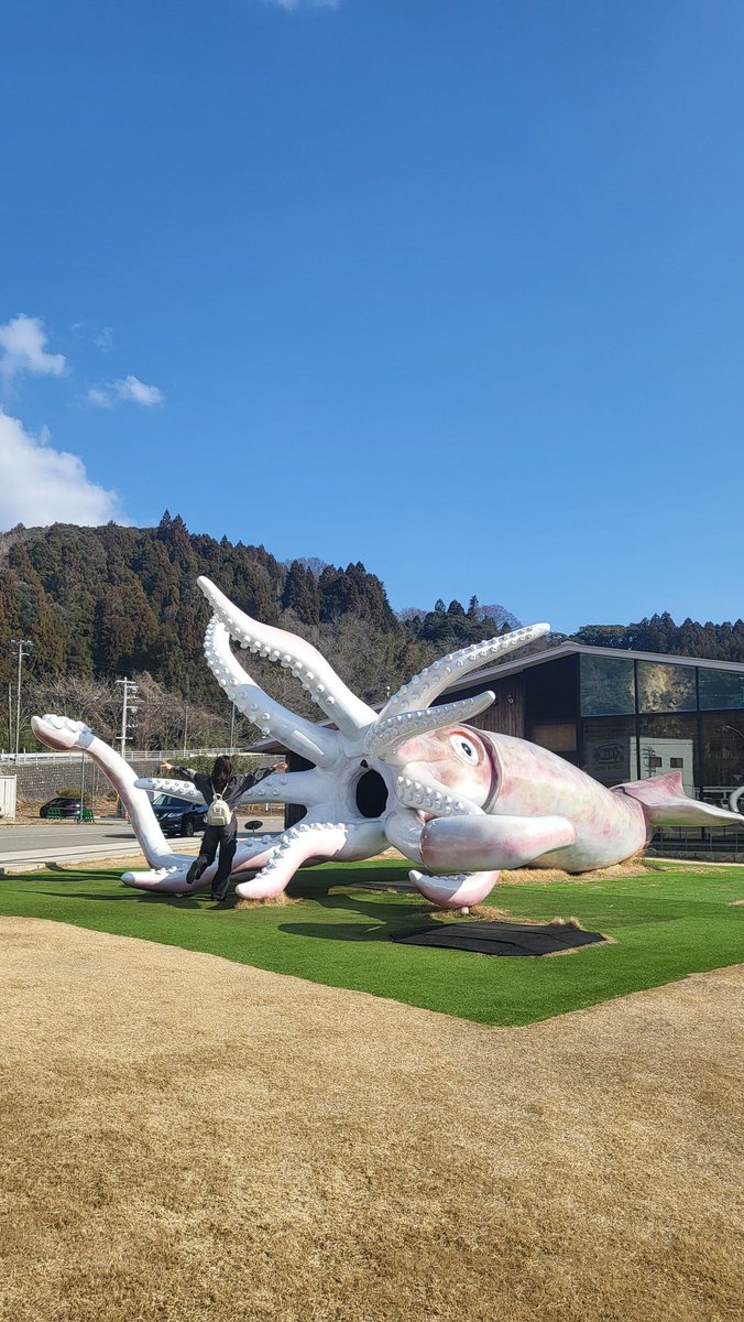 イカさん