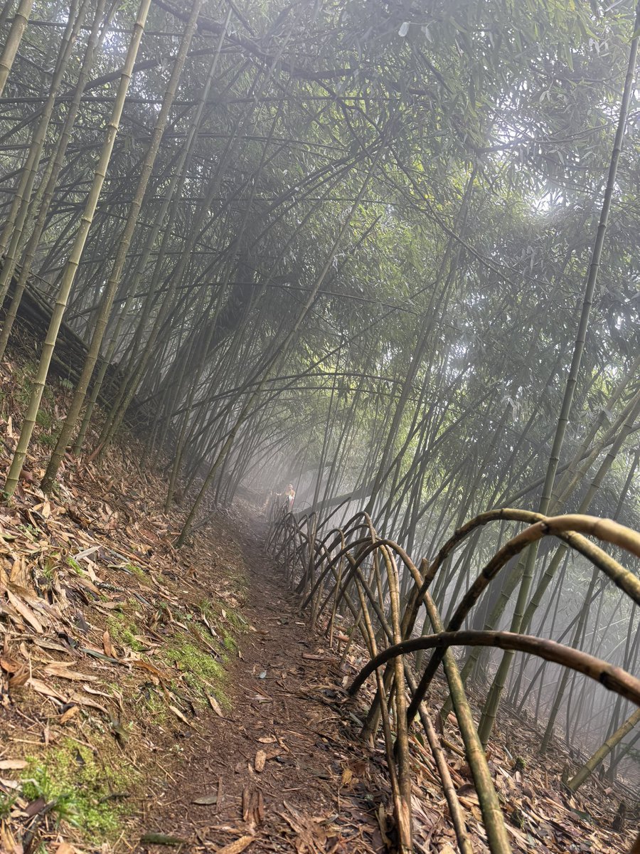 Crypto雪爷 tweet media