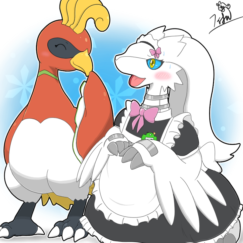 フィオル🐬 tweet media