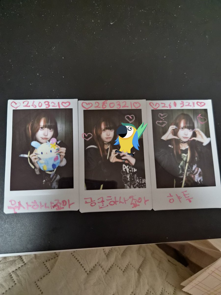 공군하사 tweet media