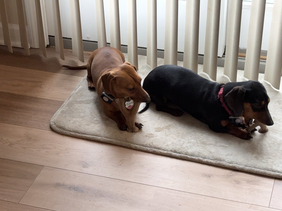 THE Danny C. tweet media