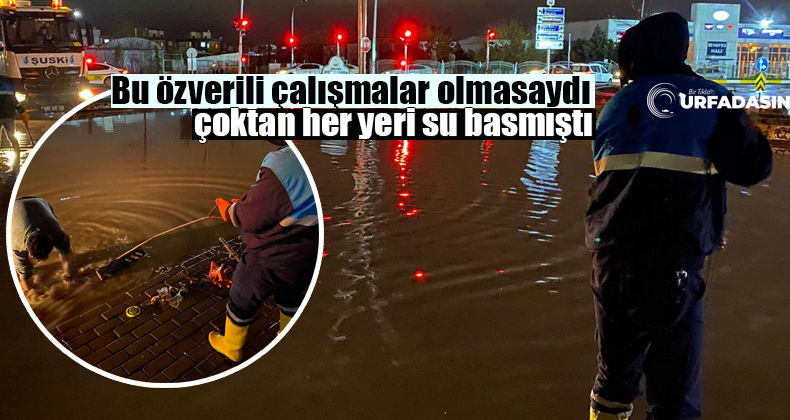 Urfadasın tweet media