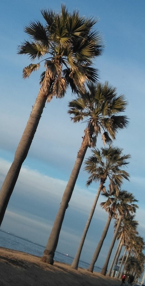 🍖ライ🍗 tweet media