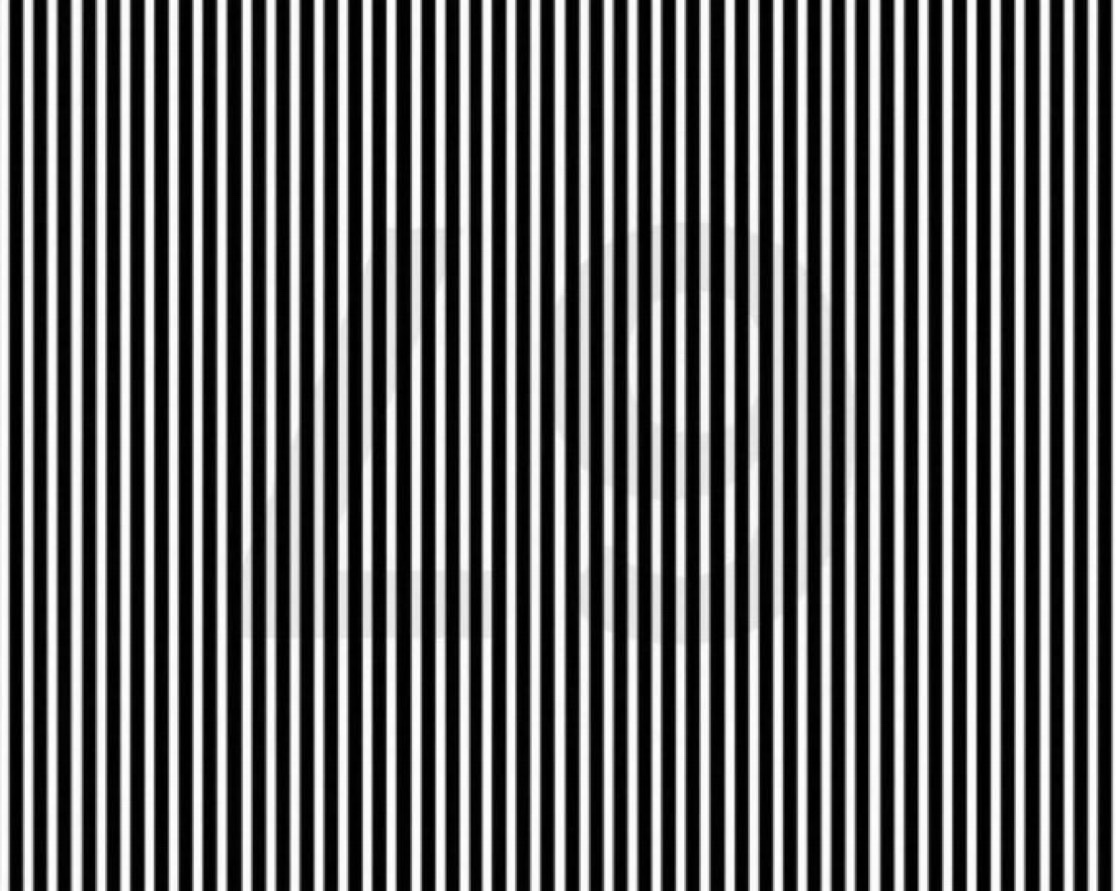 (FAN) Elon musk fanatic tweet media