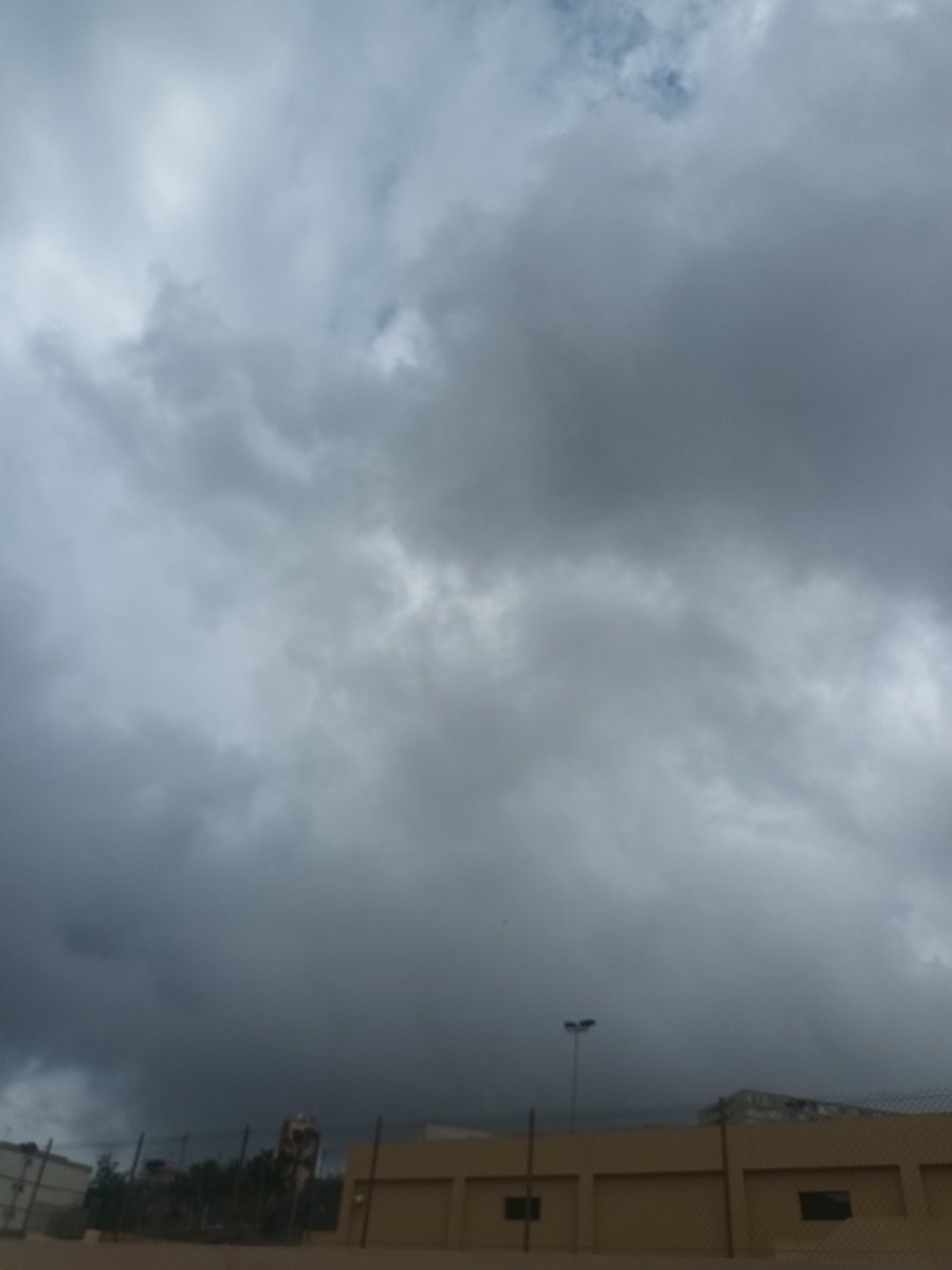 Mary 🇮🇨 tweet media