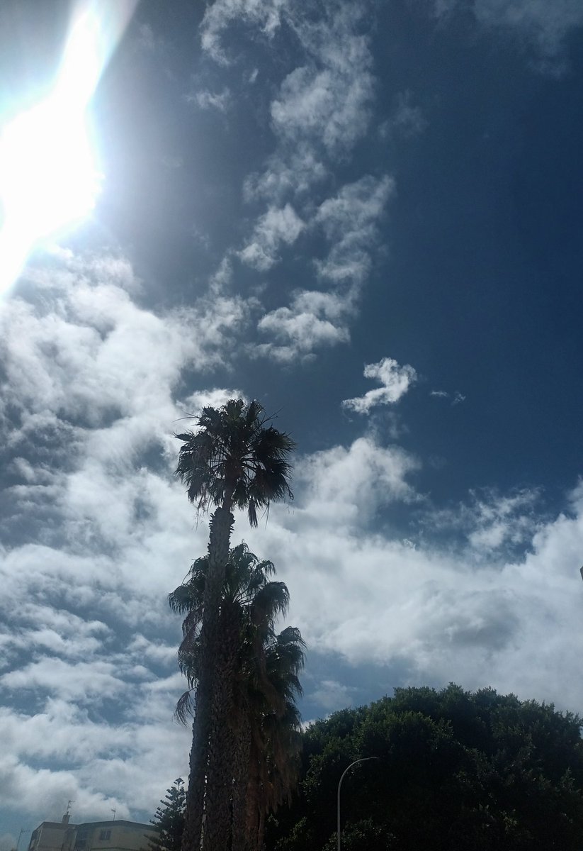 Mary 🇮🇨 tweet media