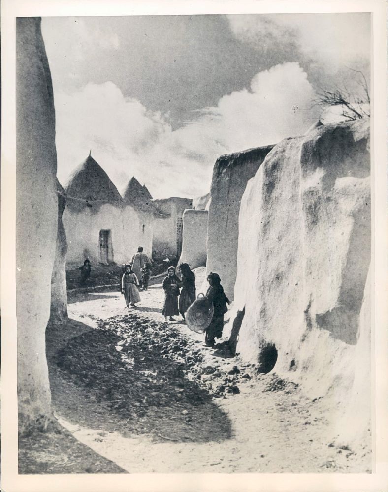 jaret alaassi tweet media