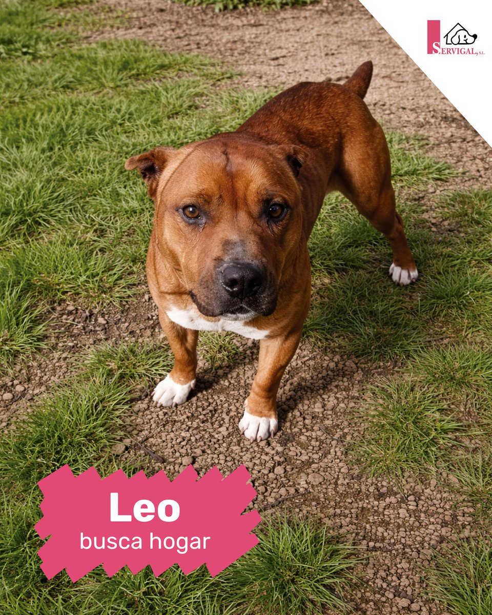 SOS Abuelos tweet media