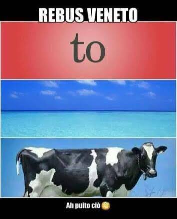 Generale Conte Vladacci tweet media