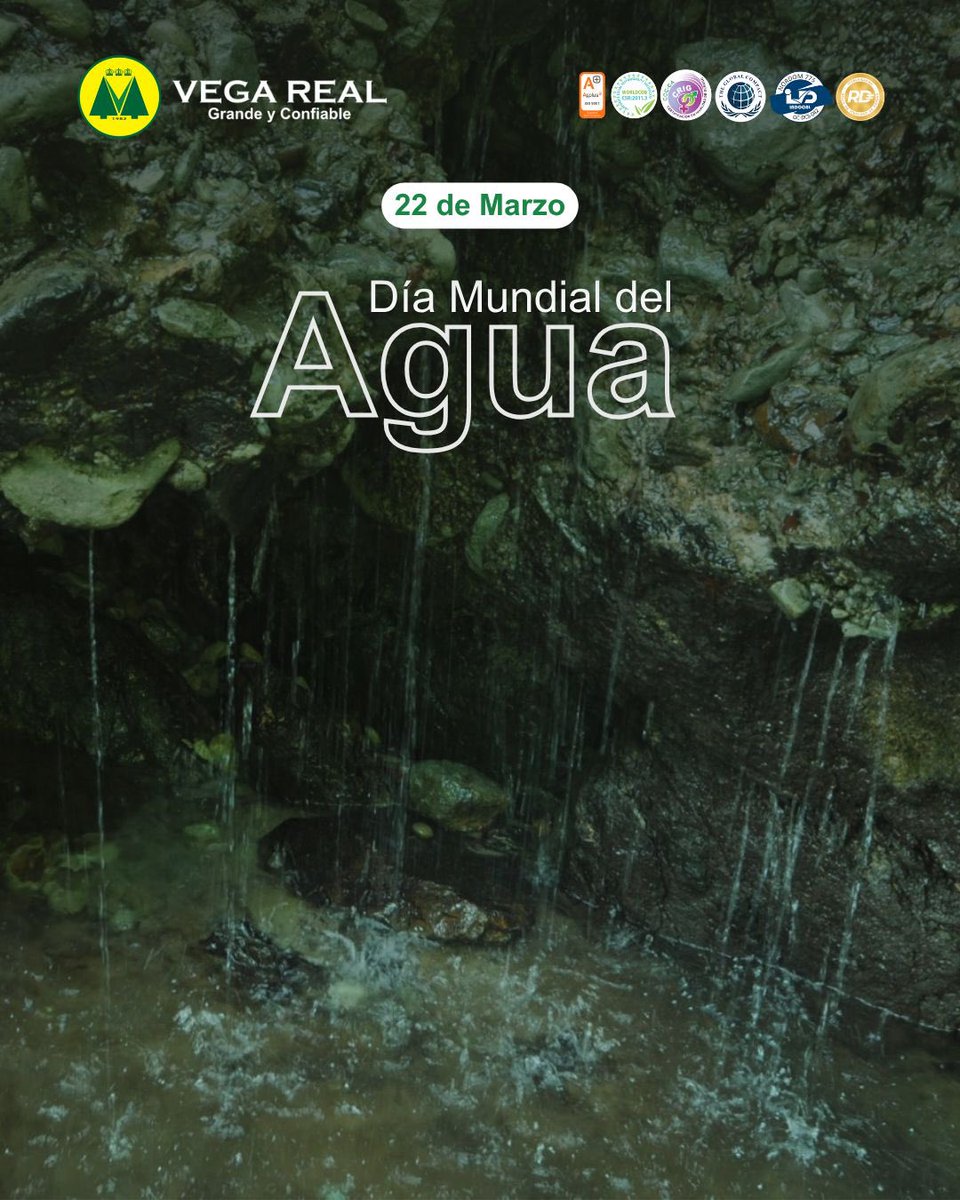 En el Día Mundial del Agua, Vega Real invita a proteger y concientizar sobre el valor del agua como recurso vital para la vida, el bienestar de las comunidades y el equilibrio de los ecosistemas. Promover su uso responsable es un compromiso de todos.

#VegaReal #Agua #Vida