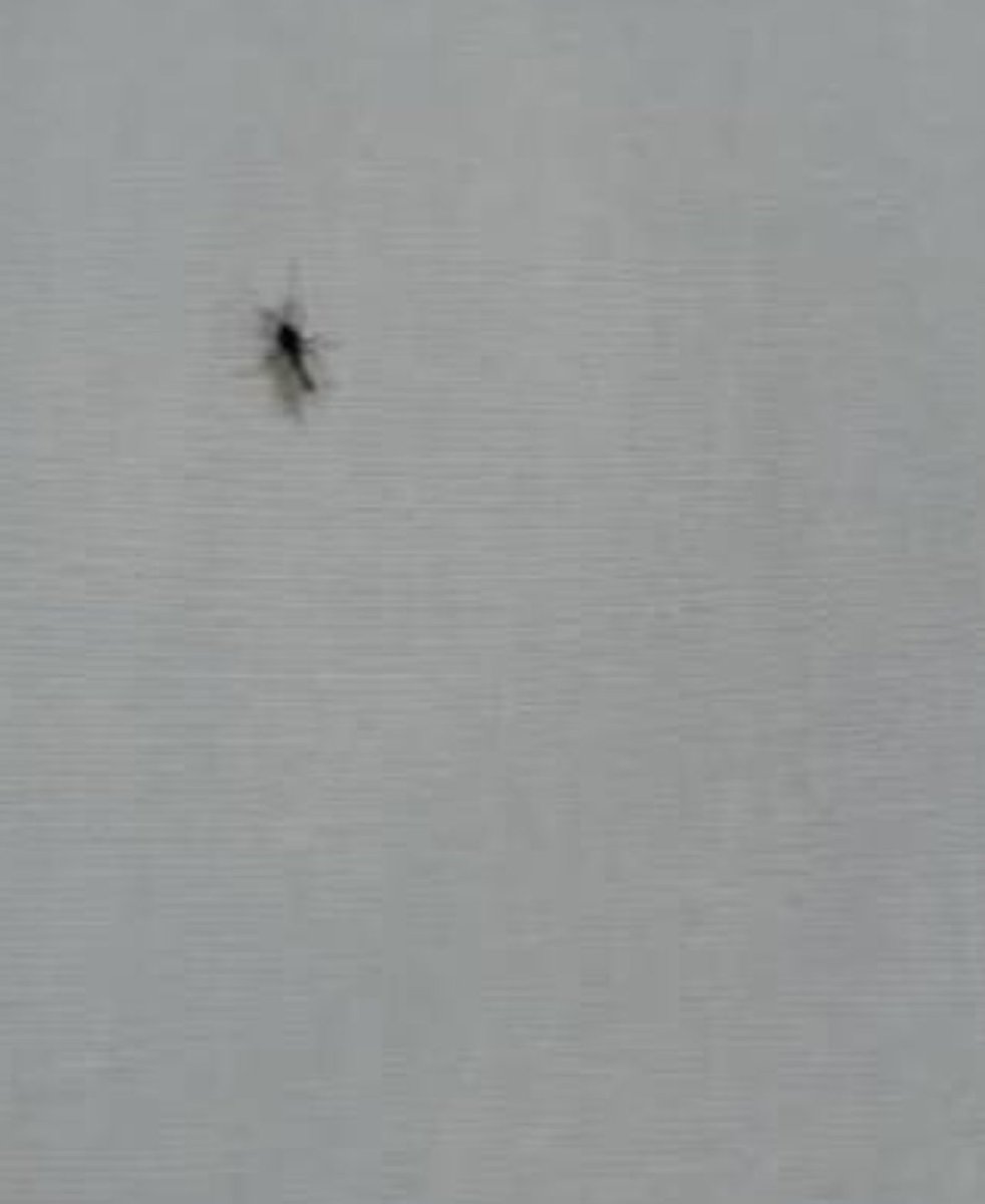 あすみん‎＠民泊レンスペ不動産 tweet media