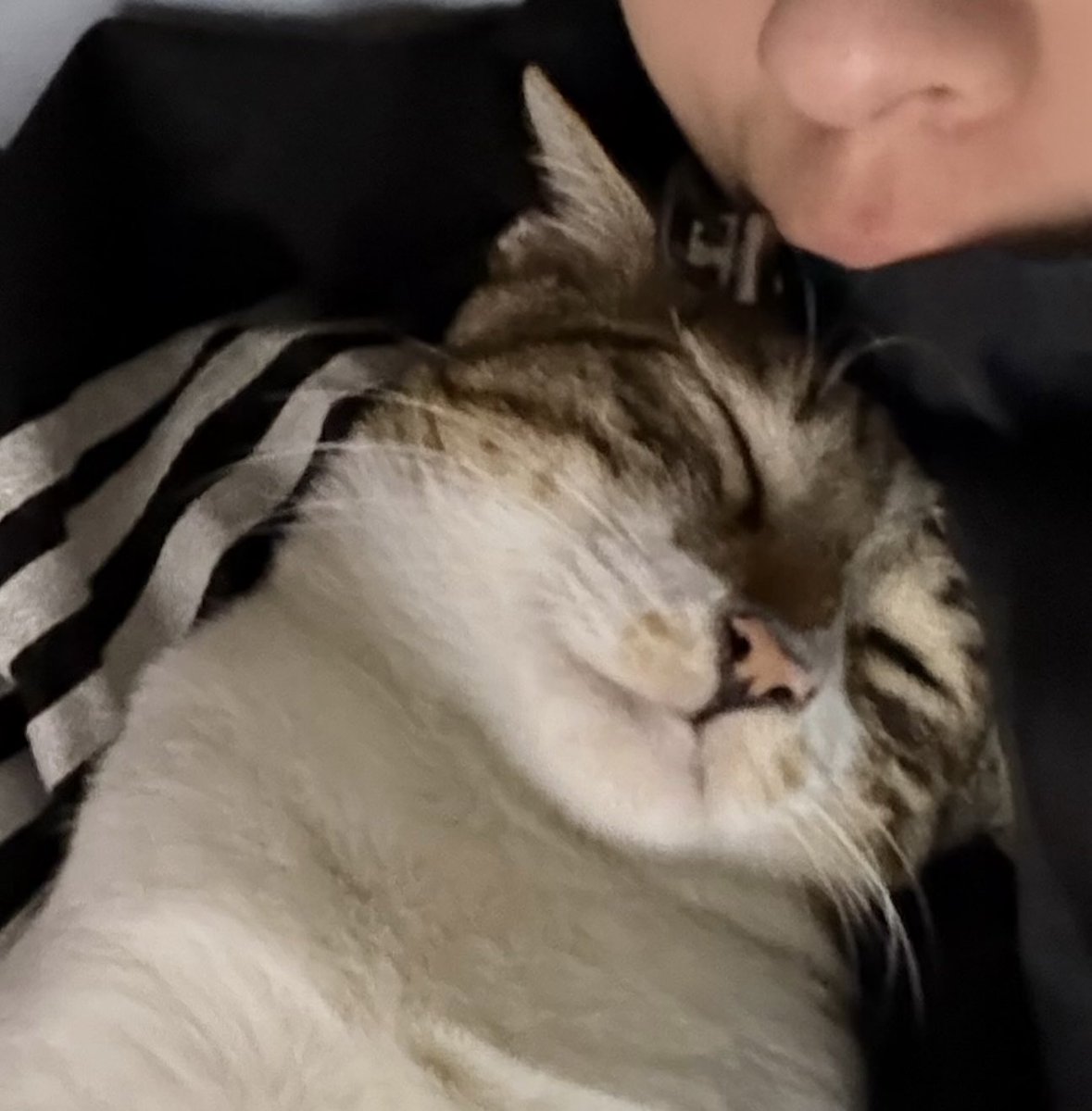 호또기 같아..?이잉 귀여오