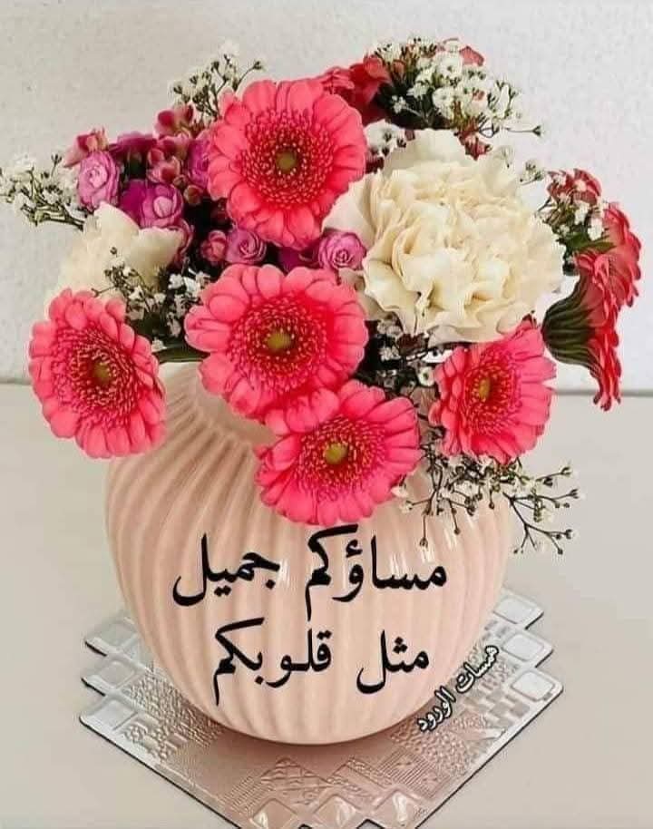 ابو العبد ابراهيم (احتياطي) tweet media