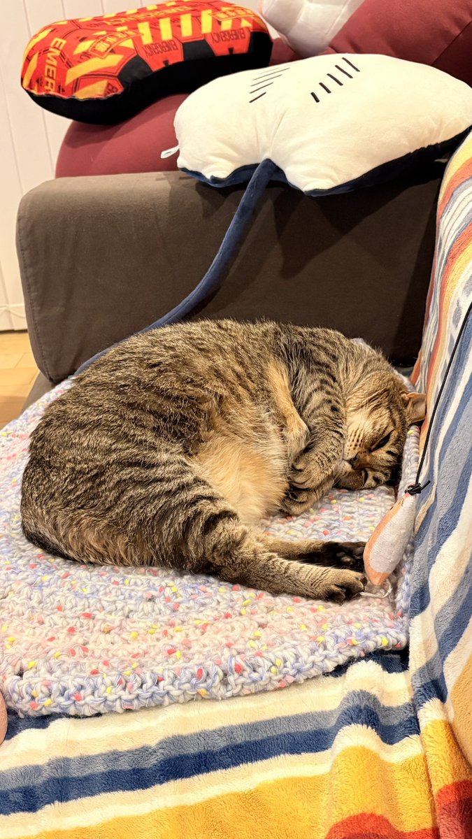 task@すずのて工房 tweet media