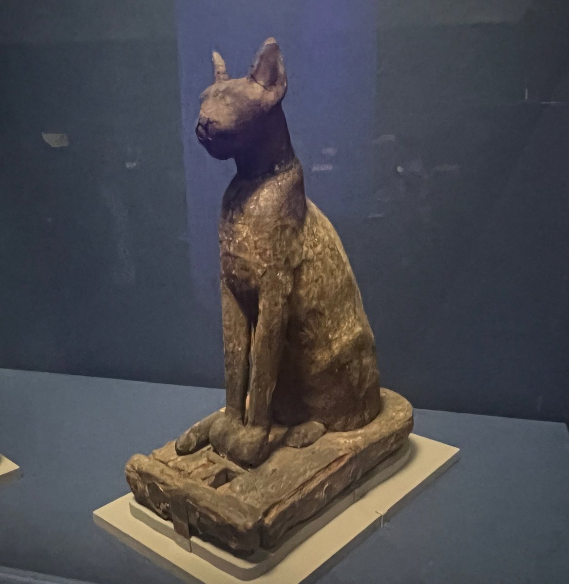 Sou_curator tweet media