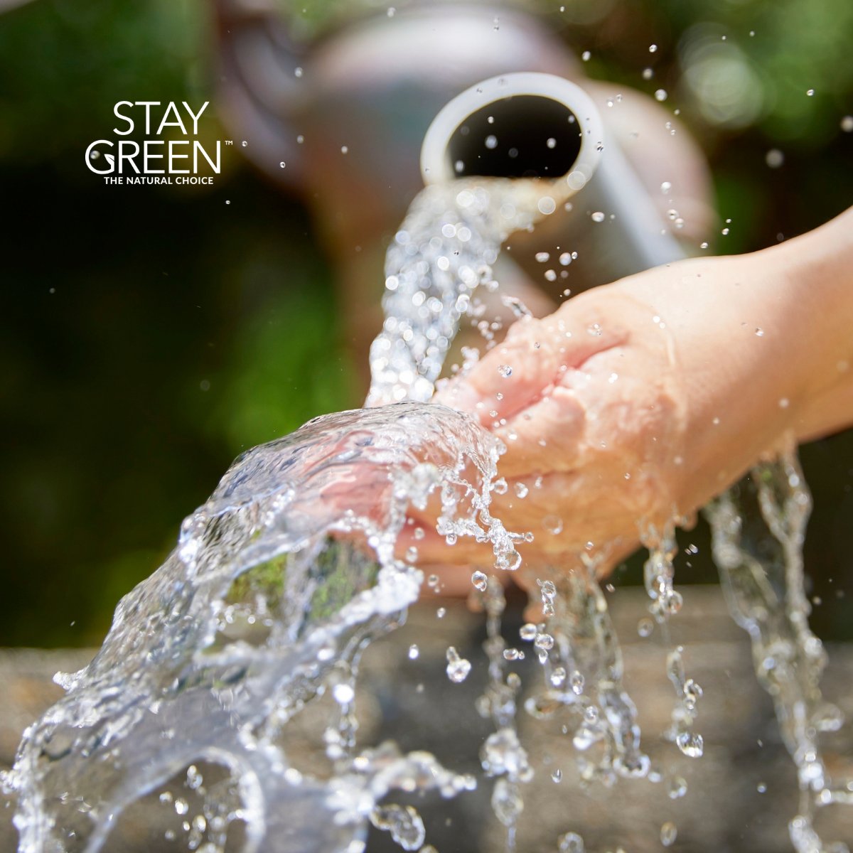 Stay Green tweet media