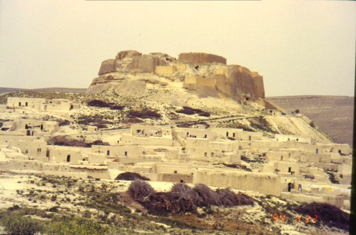 jaret alaassi tweet media