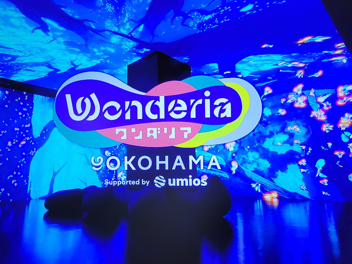 モリオさん tweet media