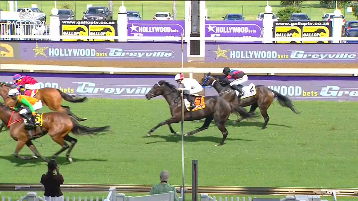 Art Martineau tweet media