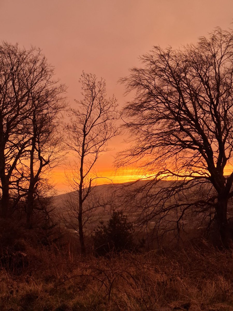 SavetheHellfire tweet media