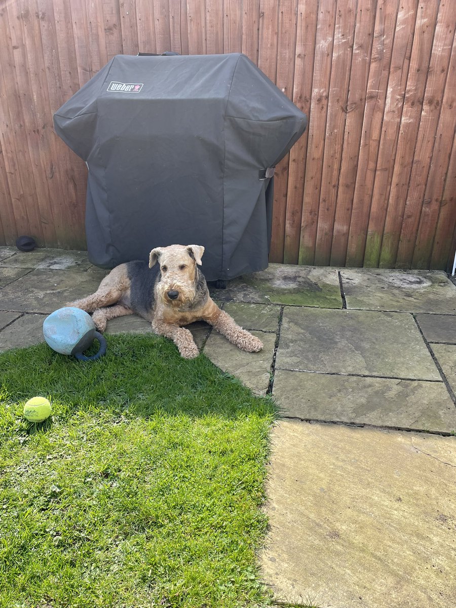 Logan & 🌈Alf tweet media