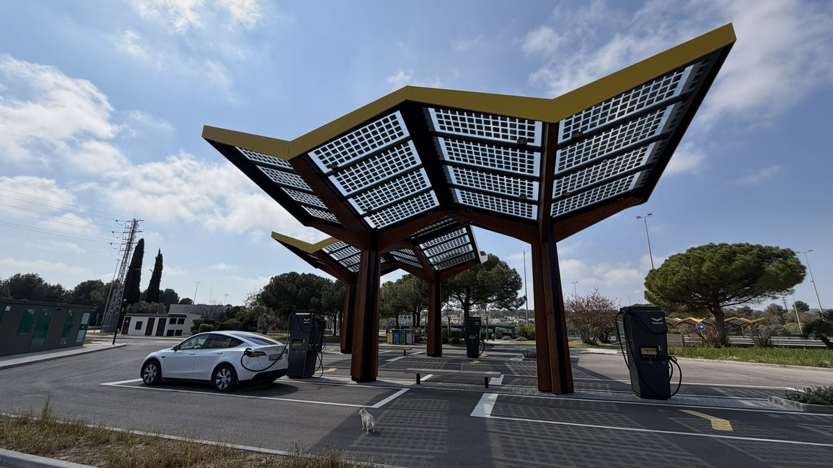 Teslanatik tweet media