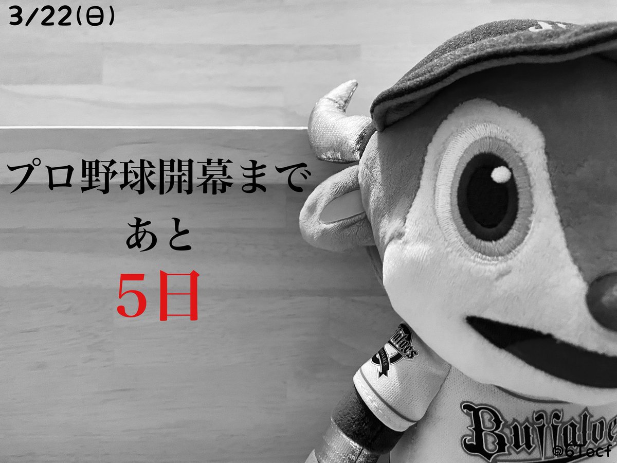 ただの野球好き tweet media