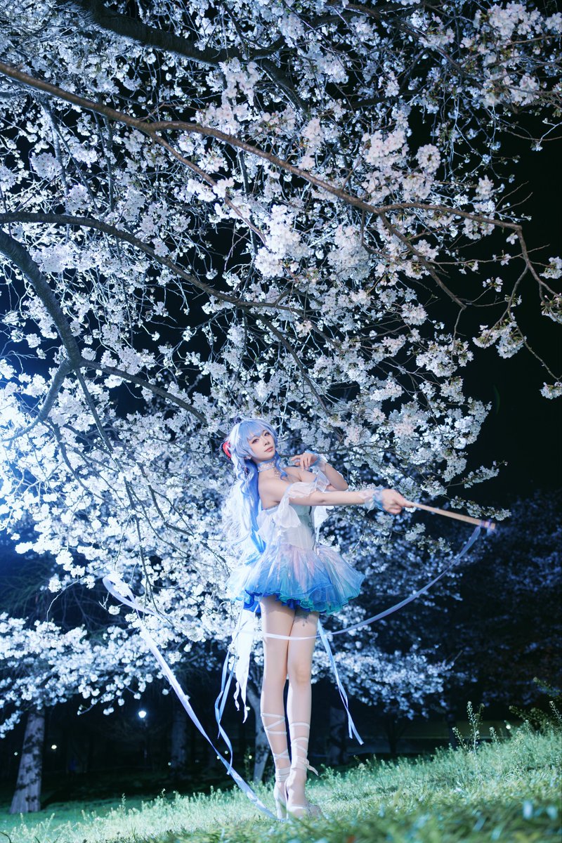 Kuma8696📸 tweet media