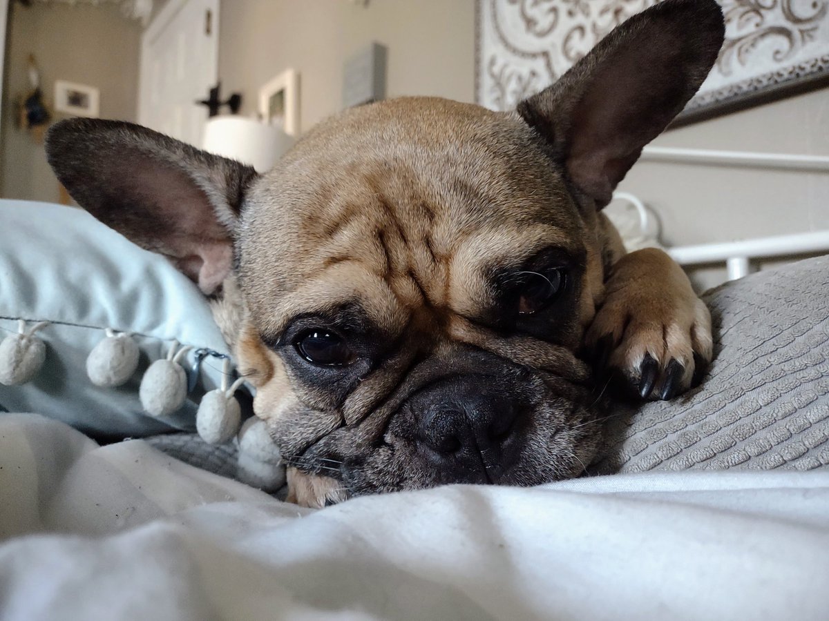 Whale Psychiatrist ™️ tweet media