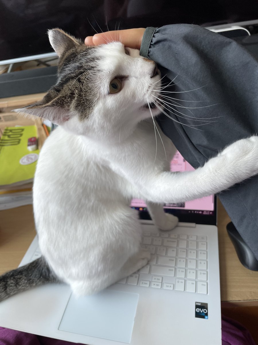 강순대 tweet media