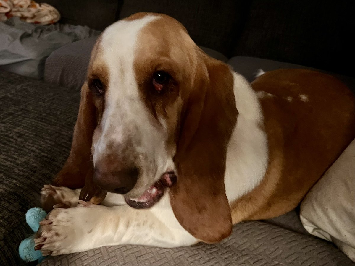 Sgt. Tater Ret. tweet media