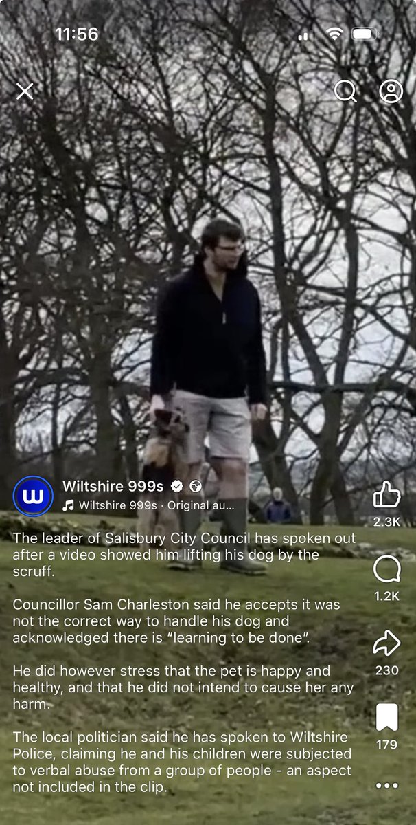 Lord Scrappy Nelson tweet media