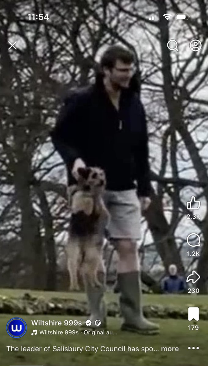 Lord Scrappy Nelson tweet media