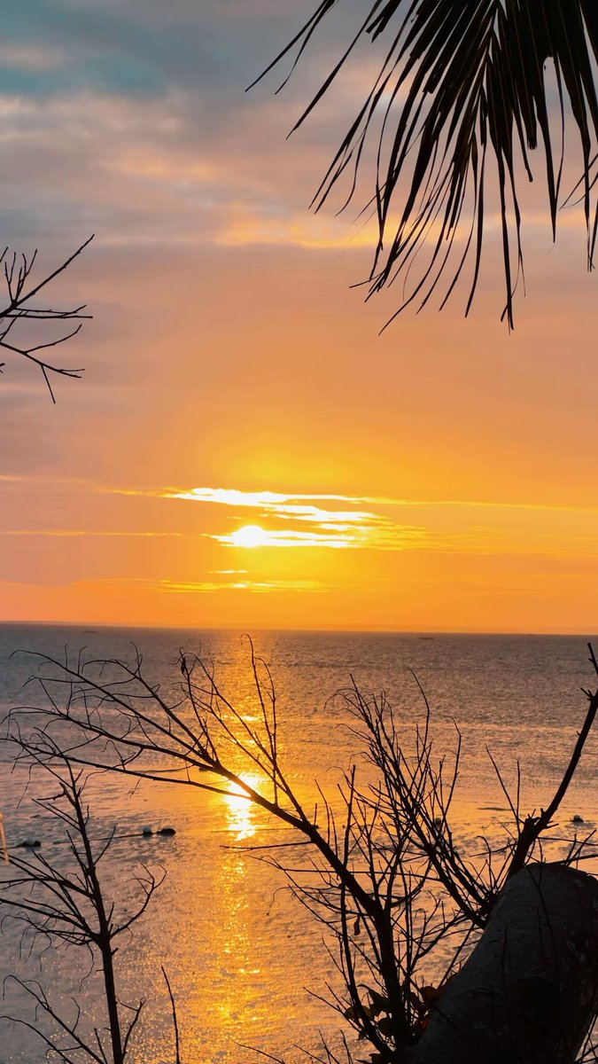 Mikel Pulvera tweet media