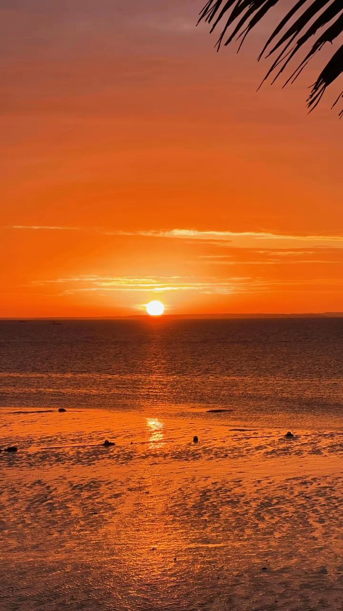 Mikel Pulvera tweet media