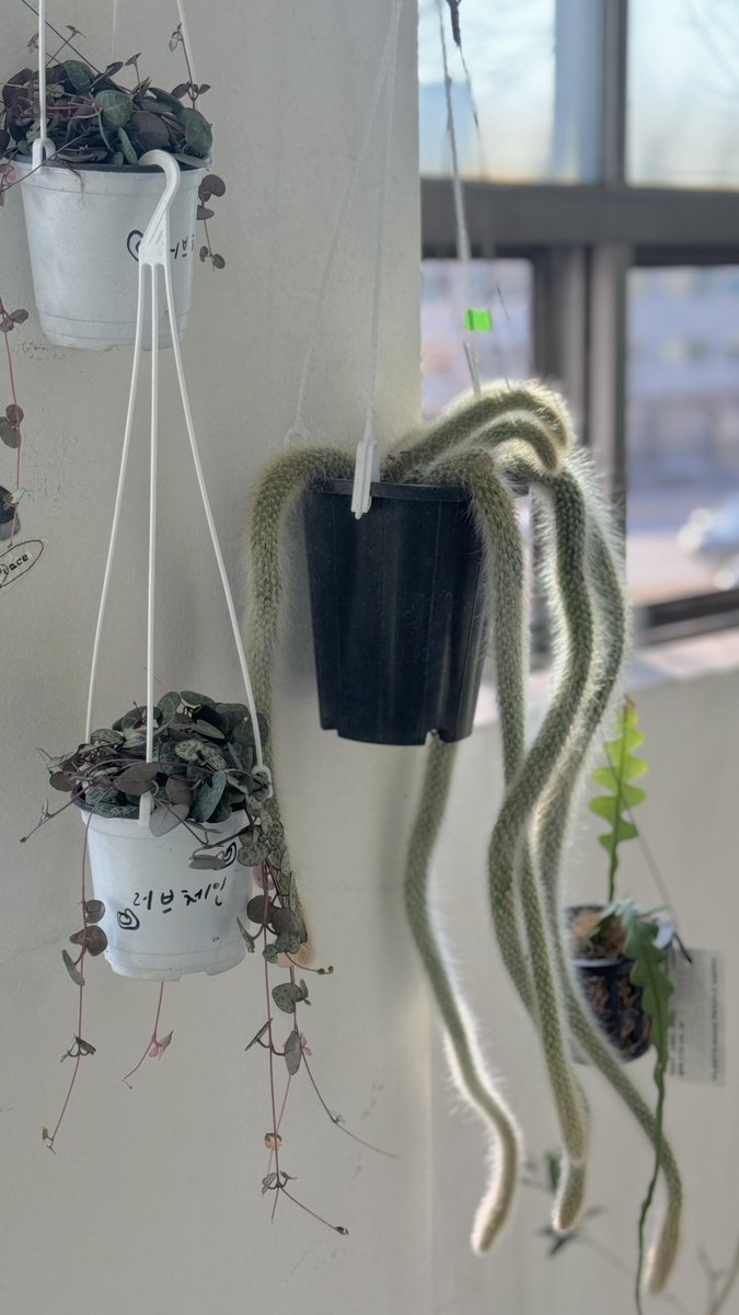 ໒꒱ (@baboeon) on Twitter photo 