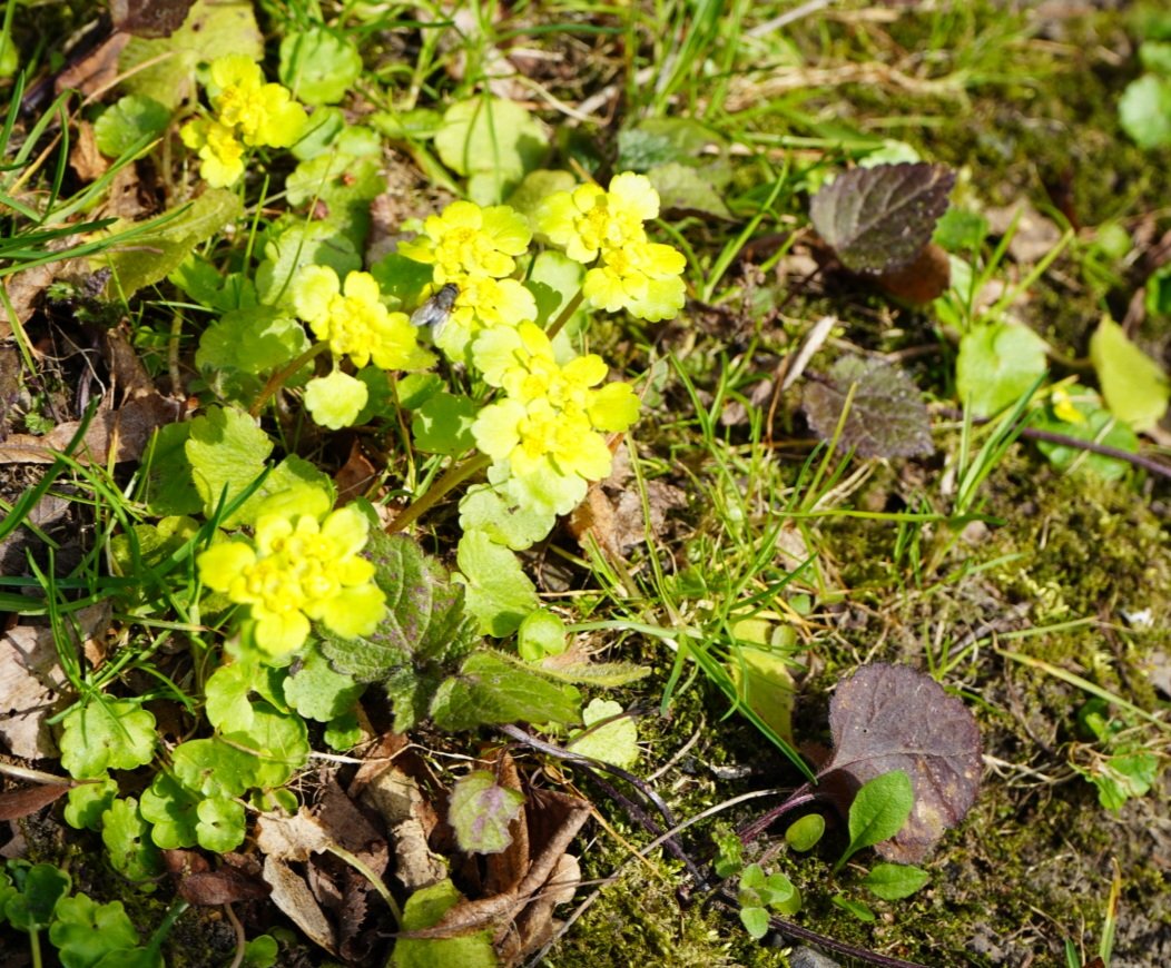 Paweł 🇵🇱 tweet media