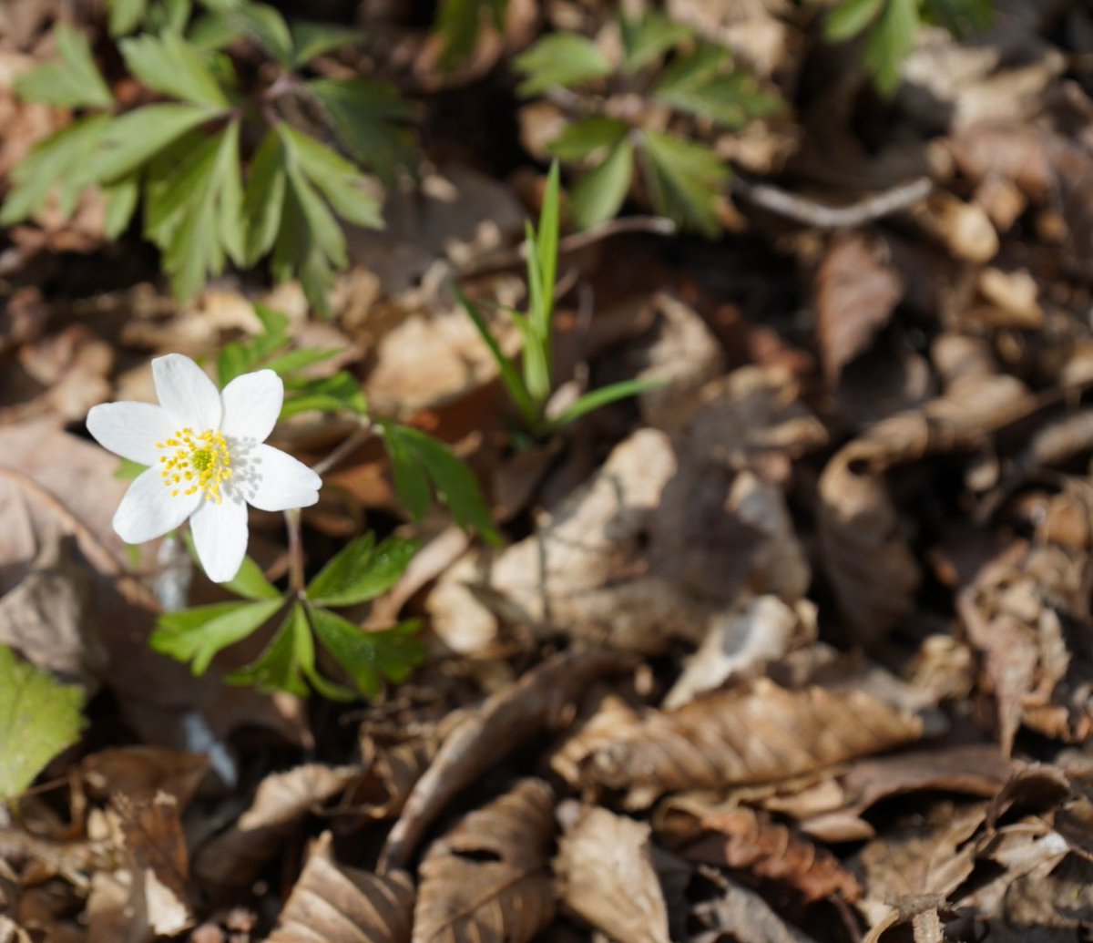 Paweł 🇵🇱 tweet media