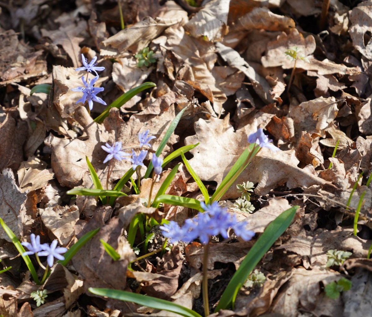 Paweł 🇵🇱 tweet media