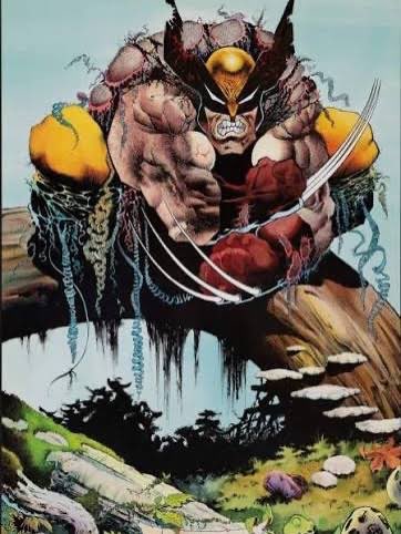 Robert Comics tweet media