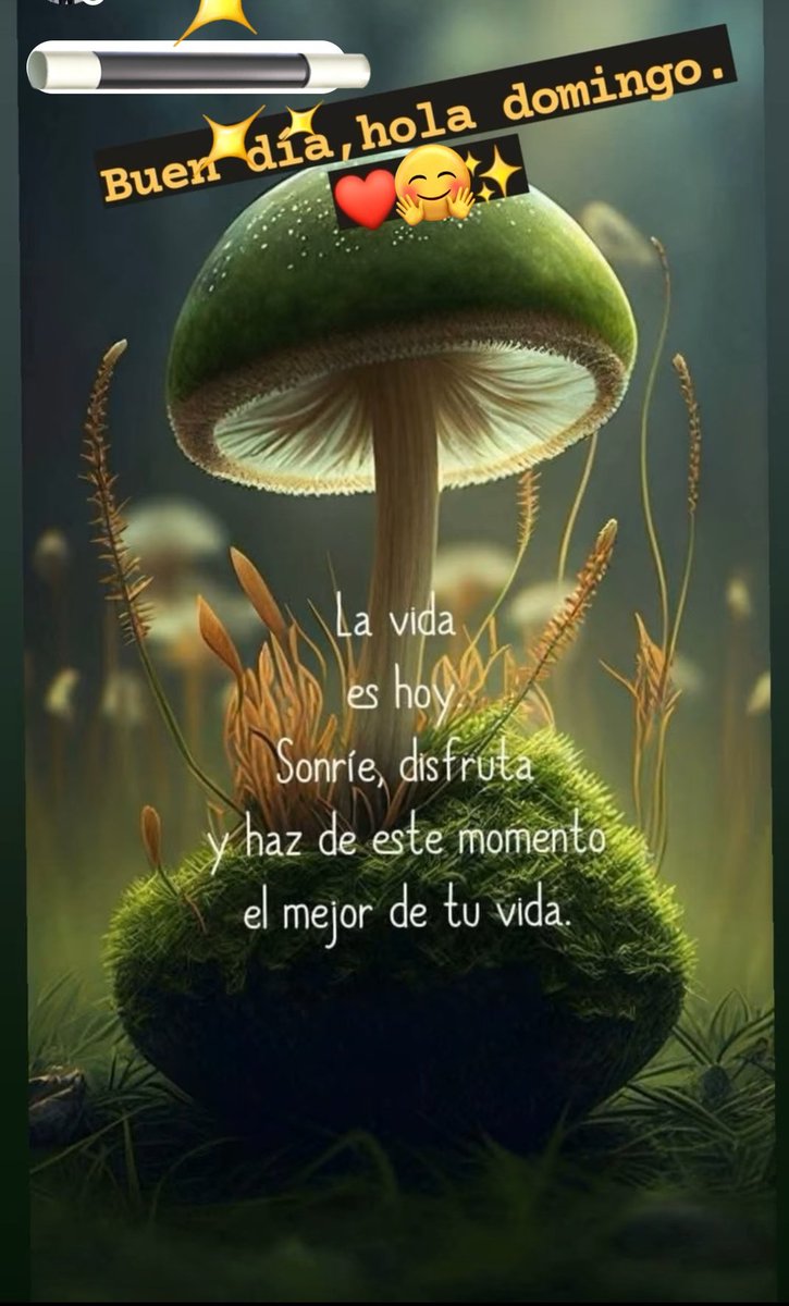 ROSQUI MARÍA tweet media