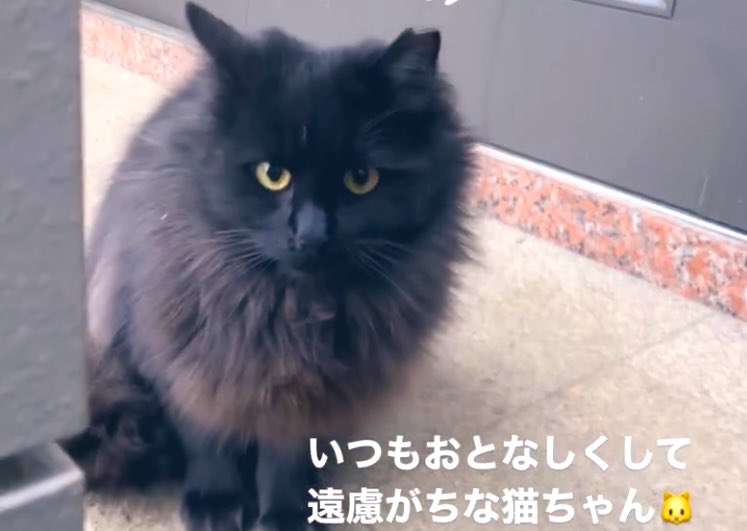 momo🍑 tweet media