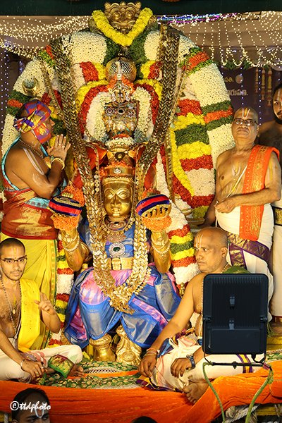 TTD Seva tweet media