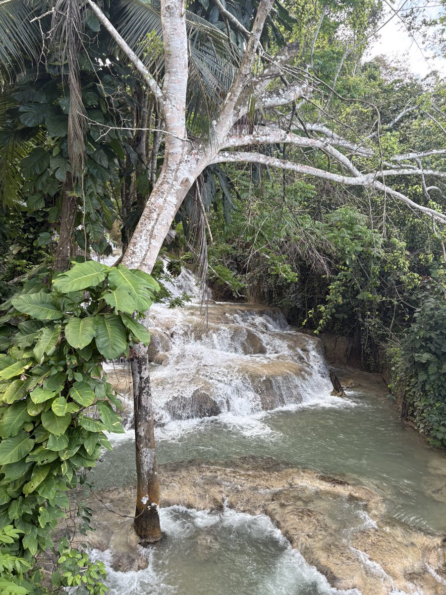 Jay 🇯🇲 tweet media