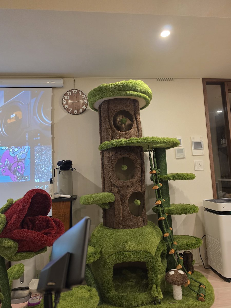 ぶんにょ tweet media