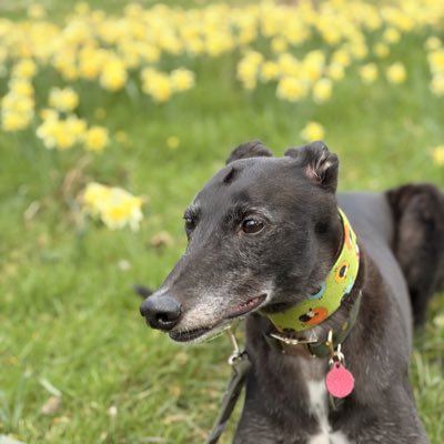 Duke 💙 tweet media