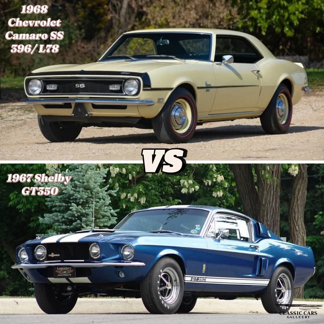 Vintage Cars Collection tweet media